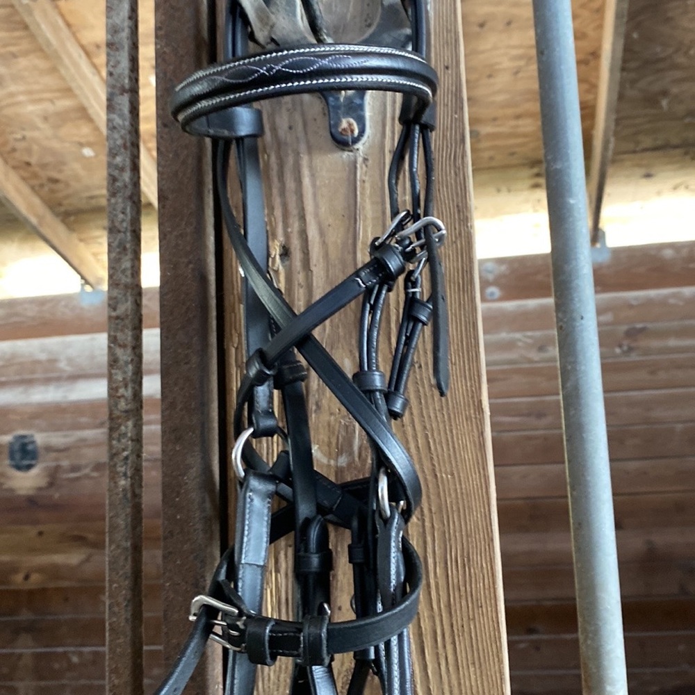 Pony bridle